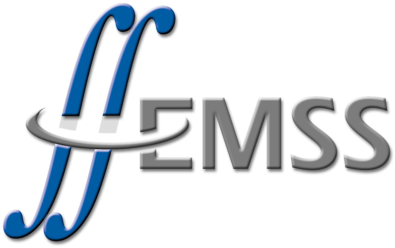 EM Software & Systems